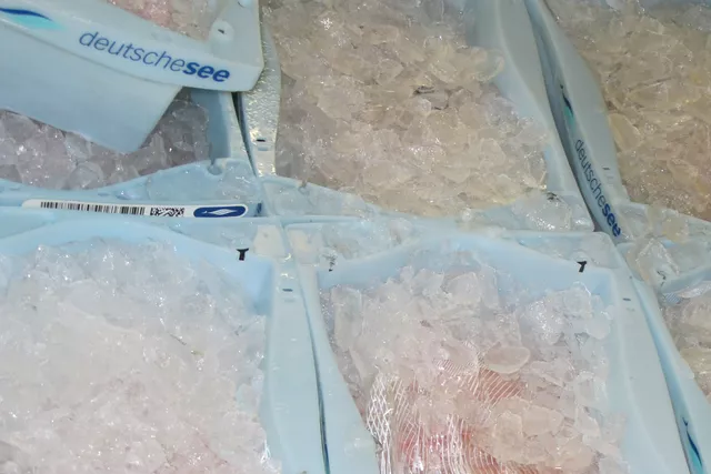 Ice in fish tubs Ice in fish tubs