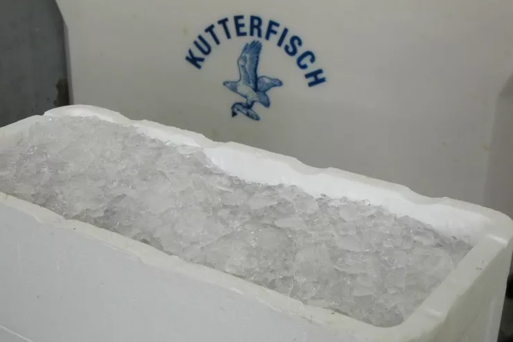 IJs in viskisten van polystyreen Deze afbeelding toont ijs in polystyreen viskisten voor koelopslag.