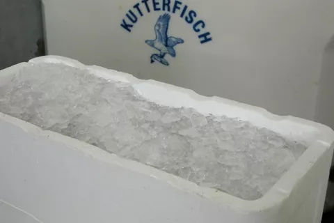 IJs in viskisten van polystyreen Deze afbeelding toont ijs in polystyreen viskisten voor koelopslag.