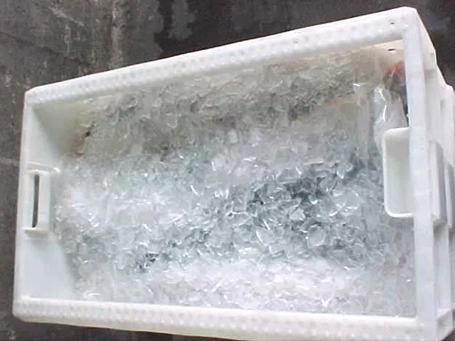 Cette image montre le processus de refroidissement du poisson utilisé pour la conservation des fruits de mer. Cette image montre le processus de refroidissement du poisson utilisé pour la conservation des fruits de mer.