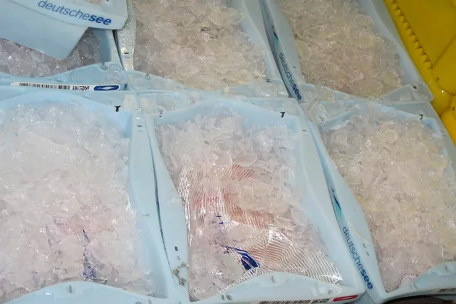 This image shows ice in fish tubs. This image shows ice in fish tubs.