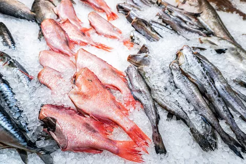 Fish cooling process This image shows the fish cooling process used in seafood preservation.